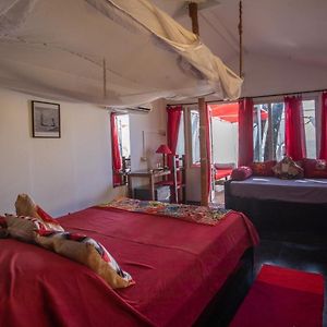 Bungalow met Uitzicht op het Strand